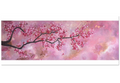 Cherry Blossom Dreams — Premium Fine Art Print